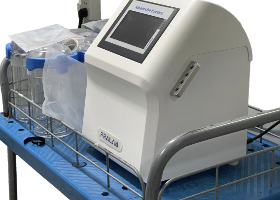 鍘屾哀鍩瑰吇緋葷粺錛屾庝箞鎴愪負(fù)鍘屾哀宸ヤ綔绔欑殑闄嶆湰鐜嬬墝